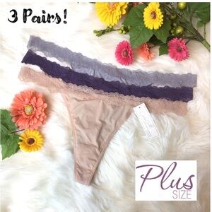 3-Pairs Jaclyn Smith Lace Waist Thong Panties